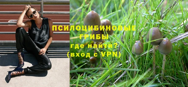 кокаин Вяземский