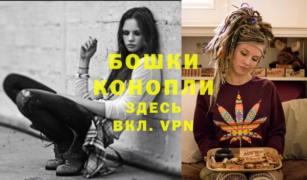 мдпв Вязьма