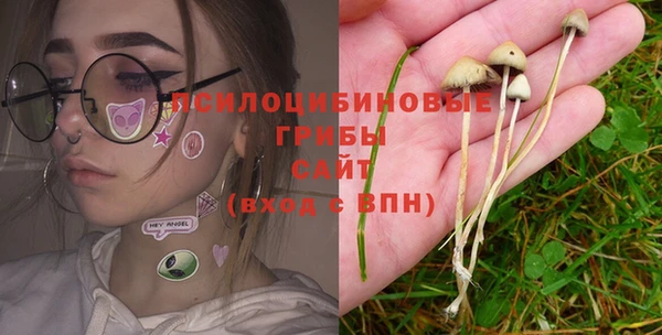 мдпв Вязьма