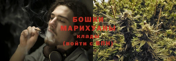 мдпв Вязьма