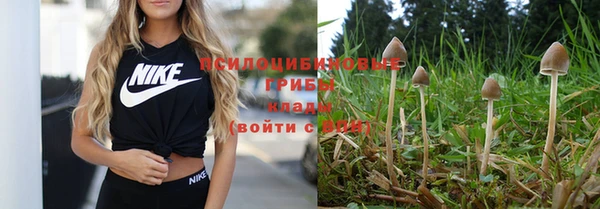 амф Вязники