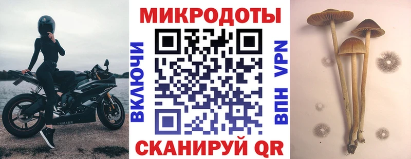 даркнет как зайти  Павловский Посад  Галлюциногенные грибы ЛСД  купить наркотик 